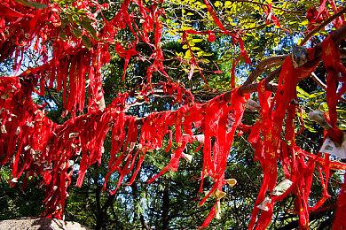 《暗黑4》主题头像上线战网客户端 包含莉莉丝等